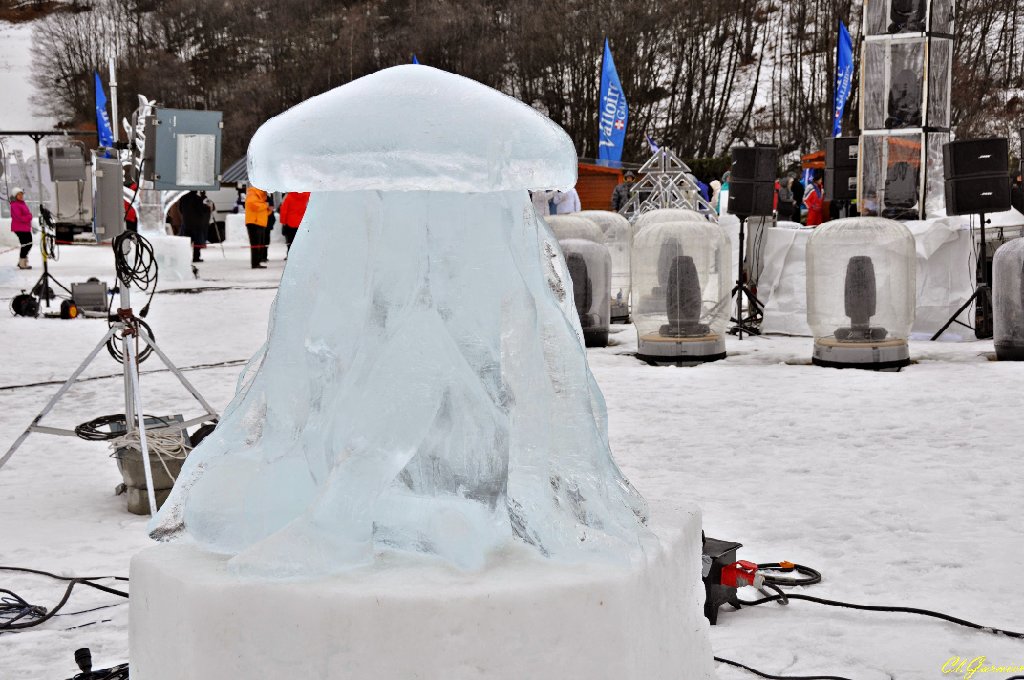 1501251_Meduse.JPG - M�duse - Sculpture sur Glace - Valloire 2015