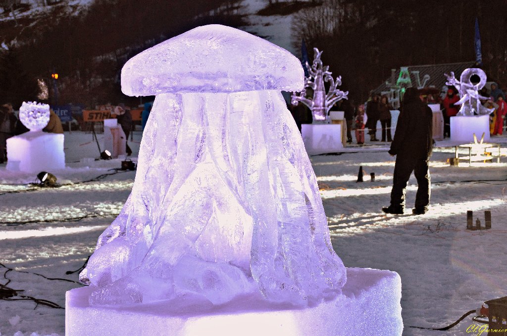 1501295_Meduse.JPG - M�duse - Sculpture sur Glace - Valloire 2015