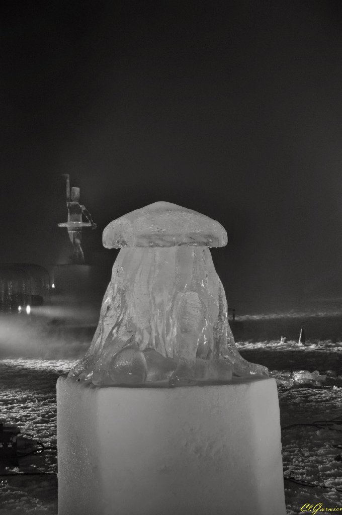 1501303_Meduse.JPG - M�duse - Sculpture sur Glace - Valloire 2015