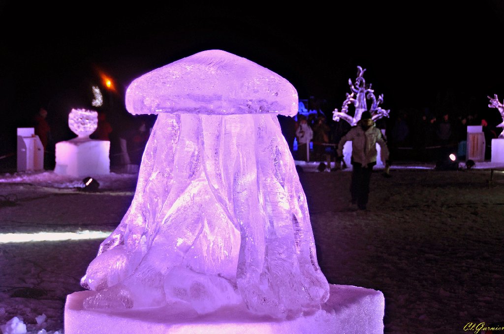 1501329_Meduse.JPG - M�duse - Sculpture sur Glace - Valloire 2015